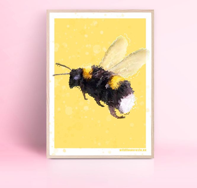 Hovedbilde PLAKAT #0011