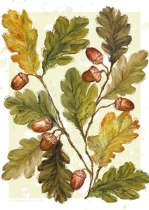 Hovedbilde 0143 JULEKORT A6 