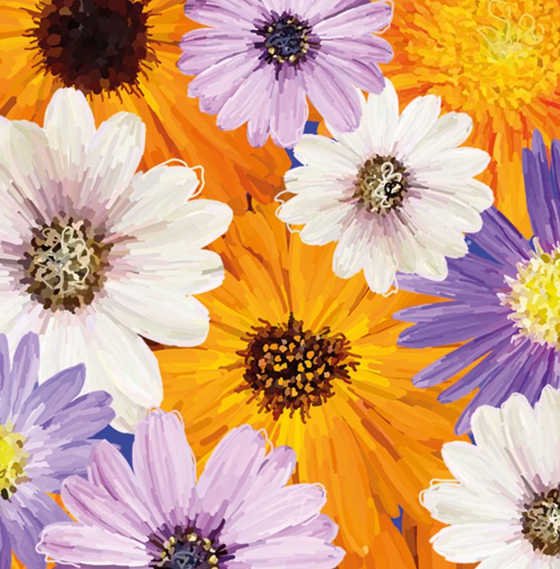PLAKAT 30x40 cm #0021