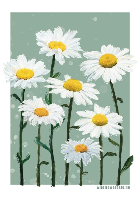 Hovedbilde Kort A6 #0096